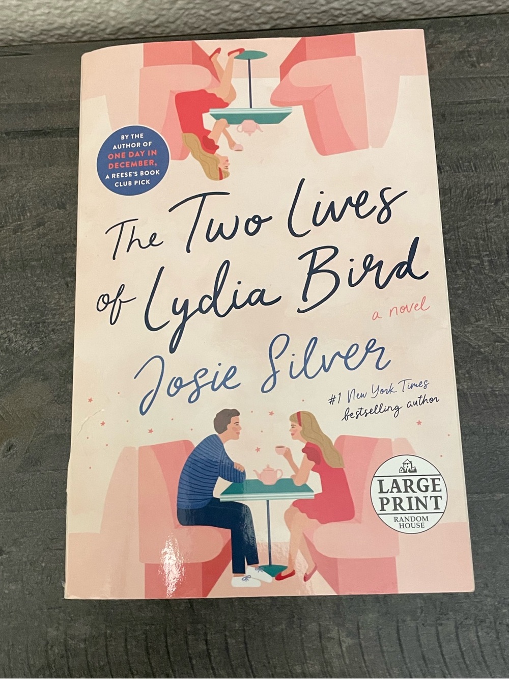 Josie Silver The Two Lives of Lydia Bird - Pink Cover Large Print